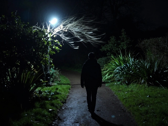 The Hidden Downsides of Motion Sensor Lights: What Manufacturers Don't Tell You